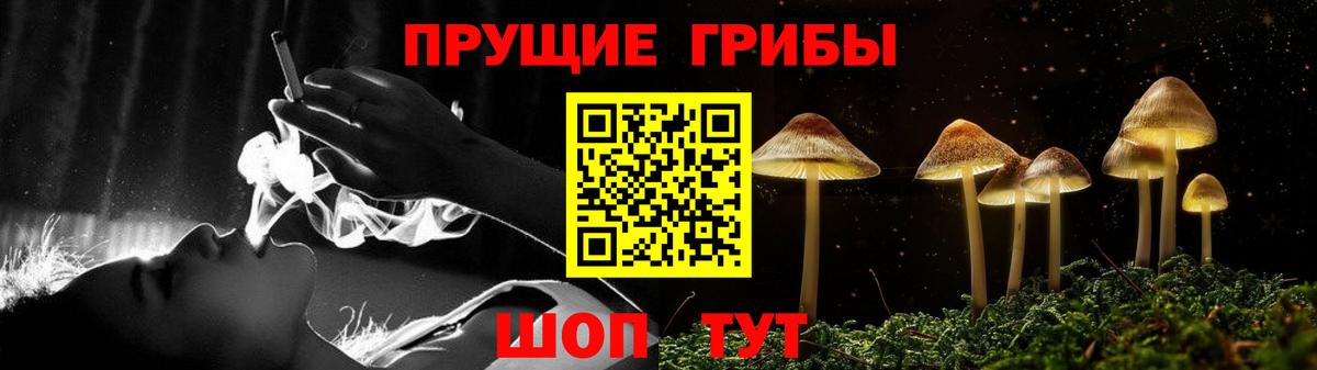 Качканар  Псилоцибиновые грибы мухоморы  Вход с VPN 
